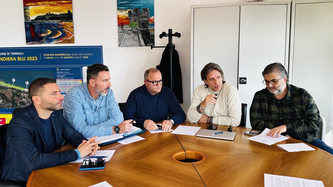 ÍA e Gigafactories: O Futuro da Indústria Automóvel e a Oportunidade de Termoli